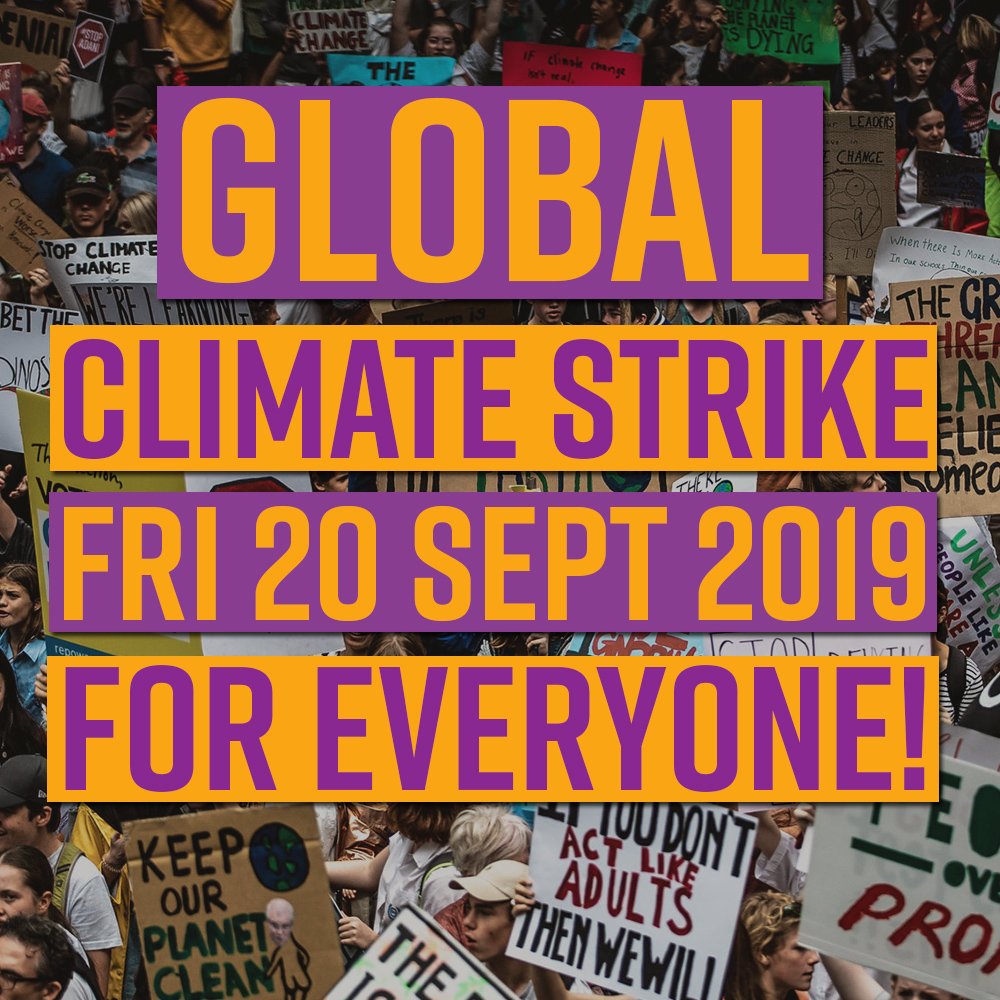 SWAN joins the Global Climate Strikes – digitally and in person!